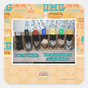 Adesivo Quadrado 7 para fora kittehs do ov 7