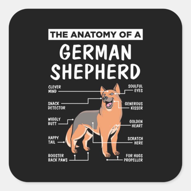 Adesivo Quadrado A Anatomia De Um German shepherd (Frente)