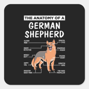 Adesivo Quadrado A Anatomia De Um German shepherd