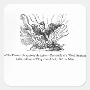 Adesivo Quadrado A ascensão de Phoenix de suas cinzas