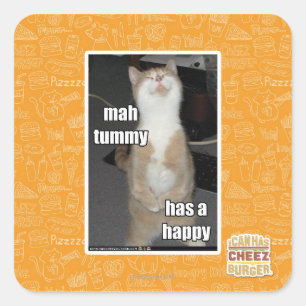 Adesivo Quadrado A barriga da mamãe está feliz