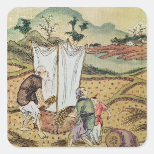 Adesivo Quadrado A história do arroz