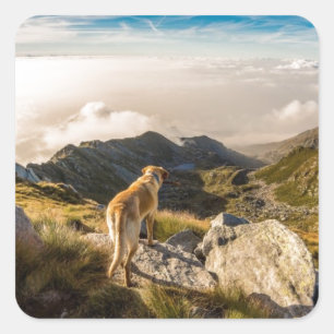 Adesivo Quadrado A jornada