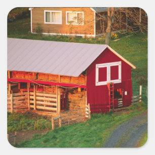 Adesivo Quadrado A manhã trabalha na fazenda. EUA, Vermont,