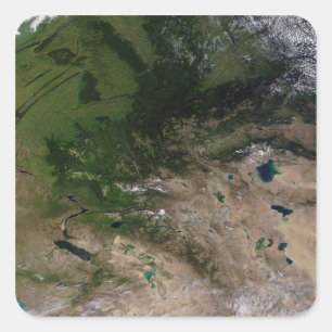 Adesivo Quadrado A mudança de vegetação