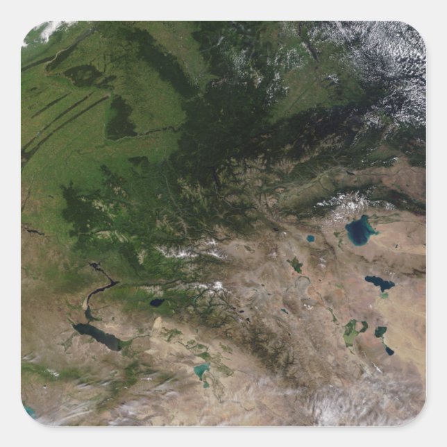 Adesivo Quadrado A mudança de vegetação (Frente)