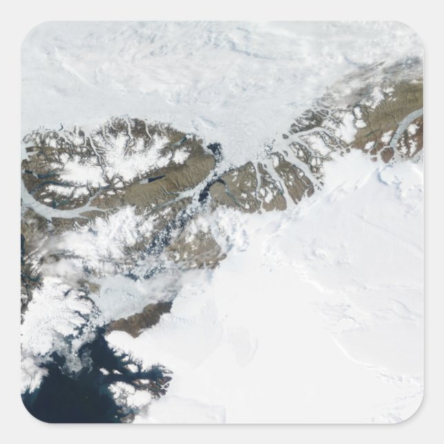 Adesivo Quadrado A palha de verão (Frente)