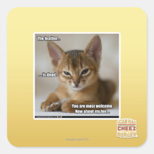 Adesivo Quadrado A pena é morto.