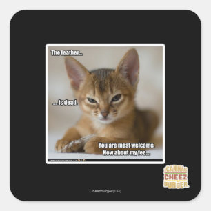 Adesivo Quadrado A pena é morto.