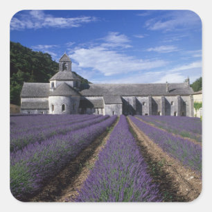 Adesivo Quadrado Abadia de Senanque, Gordes, Vaucluse, Provença,