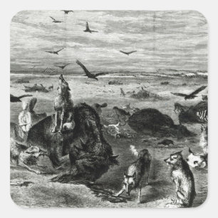 Adesivo Quadrado Abate de búfalas nas planícies
