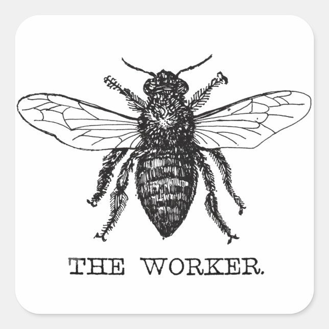 Adesivo Quadrado Abeja Trabalhadora Mel Abelha Preta (Frente)