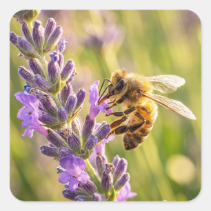 Adesivo Quadrado Abelha na Lavanda