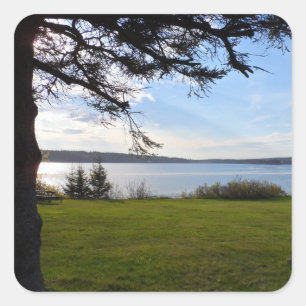 Adesivo Quadrado Acadia National Park, Maine