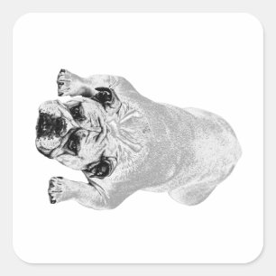 Adesivo Quadrado Acento Festivo de Bondade Bulldog