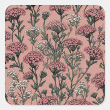 Achillea Desert Eve Deep Rosa