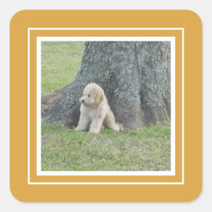 Adesivo Quadrado Adicionar modelo de foto personalizado dourado ama