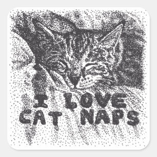 Adesivo Quadrado Adoro Naps de Gato, gato dormindo