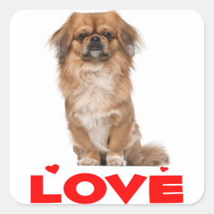 Adesivo Quadrado Adoro Puppy Dog Red Heart Sticker / Selo