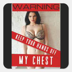 ADESIVO QUADRADO ADVERTÊNCIAS DO PEITO DE FERRAMENTAS