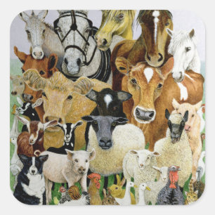 Adesivo Quadrado Afecções dos