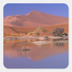 Adesivo Quadrado África, Namíbia. Parque Namib-Naukluft. 2