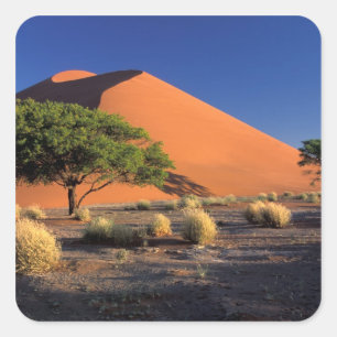Adesivo Quadrado África, Namíbia, Parque Namibe-Naukluft, Sossosvle