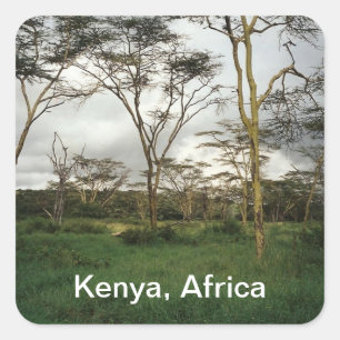 Adesivo Quadrado África Terra selvagem do Quénia