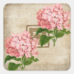 Adesivo Quadrado Agrupamentos de Hortênsias Rosa II