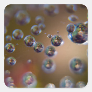 Adesivo Quadrado Água em Movimento