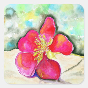 Adesivo Quadrado Aguarela cor-de-rosa da flor da morango