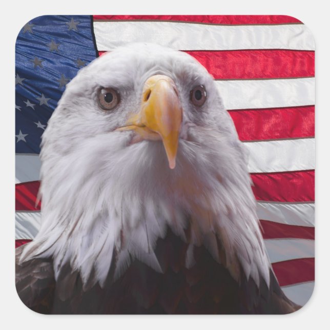 Adesivo Quadrado Águia Bald Americano (Frente)