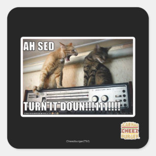 Adesivo Quadrado Ah volta do Sed ele para baixo!!