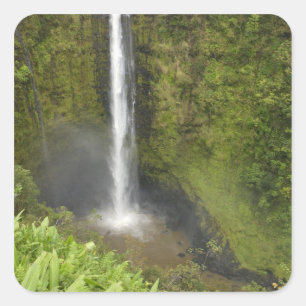 Adesivo Quadrado Akaka Falls, Costa de Hamakua, Ilha do Havaí,