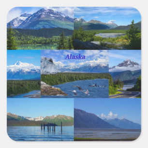 Adesivo Quadrado Alaska