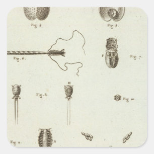 Adesivo Quadrado Alaska 3