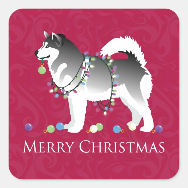 Adesivo Quadrado Alaskan Malamute Dog Felry Design de Natal (Frente)