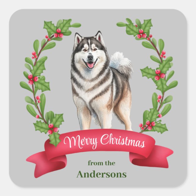 Adesivo Quadrado Alaskan Malamute Dog Holly Banner Natal (Frente)