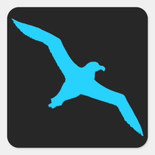 Adesivo Quadrado Albatroz Preto e Aquático