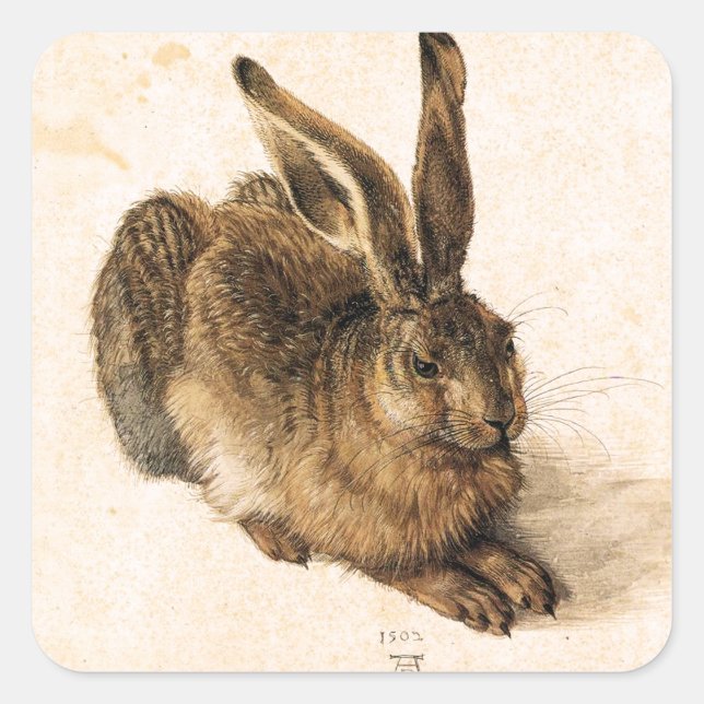Adesivo Quadrado Albrecht Durer Young Hare Stickers (Frente)