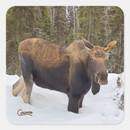 Adesivo Quadrado Alce - Vinhetas de envelopes