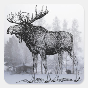 Adesivo Quadrado Alces do inverno