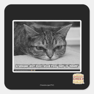 Adesivo Quadrado Alerta de Grumpage