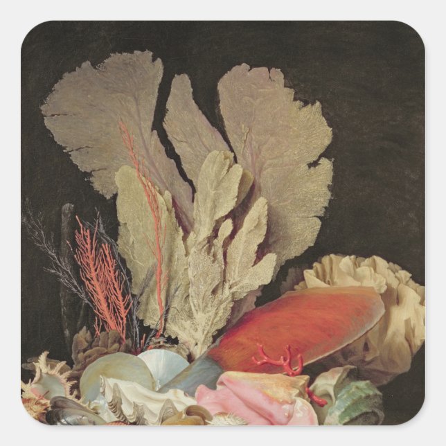 Adesivo Quadrado Algas marinhas, litófitas e conchas (Frente)