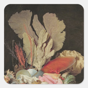 Adesivo Quadrado Algas marinhas, litófitas e conchas