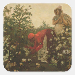 Adesivo Quadrado Algodão de Upland