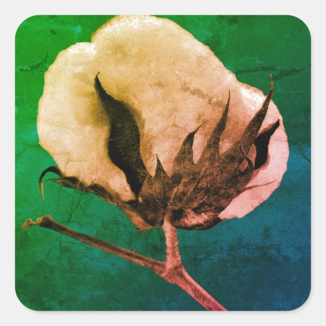 Adesivo Quadrado Algodão-Pau (Frente)