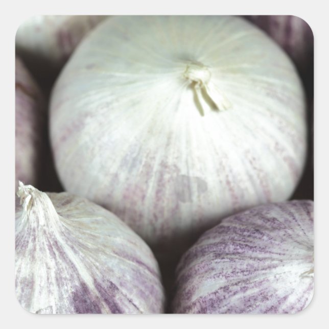 Adesivo Quadrado Alho Solo (Frente)