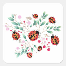 Alichante/rótulo das aves e bagas