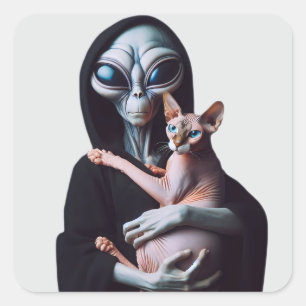 Adesivo Quadrado Alienígena Abraçando Sphynx Cat Ufo Área de Abduçã